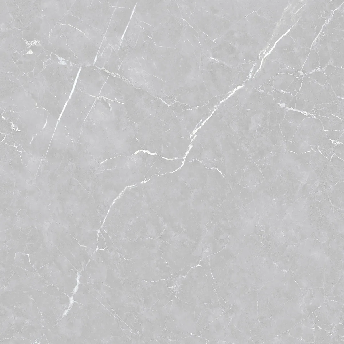 Outra variação de estampa do Porcelanato Venato Argenta 120x120 Polido (foto do fabricante)